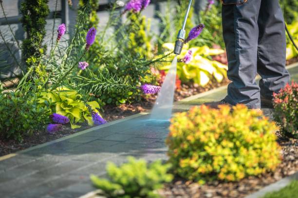Best Sidewalk and Walkway Pressure Cleaning in Eagleville, PA